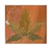 Autumn Leaves by M. Della Casa 16.00X16.00. Art Poster Print