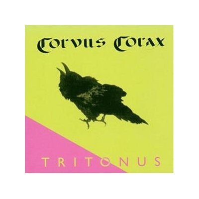 Corvus Corax Foto 12