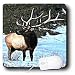 Wild animals - Elk - Mouse Pads Image