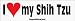 I Love My Shih Tzu - bumper stickers (Medium)
