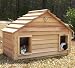 Cedar Duplex Cat House : Size 40X20 CEDAR HOUSE - INSULATED
