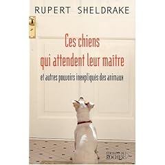 Ces chiens qui attendent leur ma�tre et autres pouvoirs inexpliqu�s des animaux