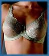 ANTOINETTE Go2 Bra by Lipo in a Box Latte, Black & Taupe, 32-44, C-G cup