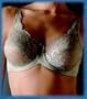 "ANTOINETTE" Go2 Bra by Lipo in a Box, 34D, Taupe