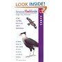 Hawks: All the day-flying birds of prey seen in North America (Peterson Flash Guides)