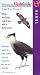 Hawks: All the day-flying birds of prey seen in North America (Peterson Flash Guides)