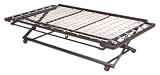 Link Pop-Up Trundle By Fashion Bed Group