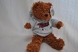 MINNESOTA TWINS OFFICIAL LOGO 8IN HOODIE TEDDY BEAR