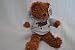 MINNESOTA TWINS OFFICIAL LOGO 8IN HOODIE TEDDY BEAR