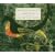 Muguam Sayagi/Music of Franghiz