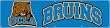 BUCLA UCLA Giant 8-Foot X 2-Foot Nylon Banner Banner Flags NCAA