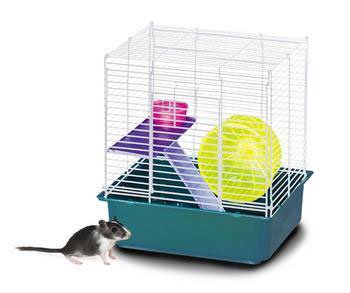 Price 1 My First Home Hamster 2story 4pk