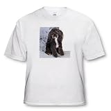 Black and white Toy Poodle - Toddler T-Shirt (2T)