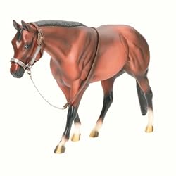 Western Stock Show Halter w/ Lead&nbsp;