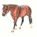 Western Stock Show Halter w/ Lead&aacute; [Toy]