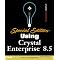 Web Technologies for Crystal Enterprise