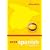 The Essentials of G.C.S.E. Spanish (School Revision Guide)