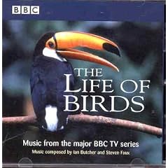 The Life of Birds