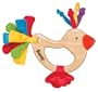 Sassy Earth Brights Wooden Dove Toy
