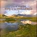 Songs of the Irish Whistle, Vol. 2