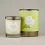 Yuzu Leaf, KOBO Pure Soy Candle with Cylindrical Gift Box from the Origami Collection