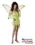 Emerald Fairy Adult Costume