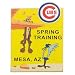 Chicago Cubs Spring Training Souvenir Pin