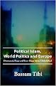 Political Islam, World Politics and Europe (Democratic Peace and Euro-islam Versus Global Jihad) (Paperback)