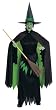 Adult Wicked Witch of The West Witch Costume - Adult Std.