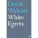White Egrets