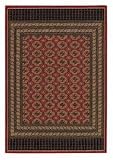 Capel Belmont Bohkara - 550 Red