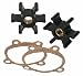 Little Giant PPIK-1S Kit includes two Buna-N impellers and volute cover gaskets. (555...