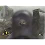 Brothers In Arms: Earned In Blood (PC DVD)