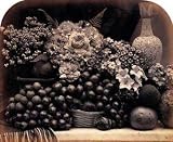 Fruit and Flowers - 1860/61 Art Print Poster By Roger Fenton, 19 
