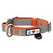 Pawtitas Personalized Dog Collar Refelctive Dog Collar Padded Dog Collar with Name Phone Number Puppy Collar Adjustable Customized Collar for Large Dogs Breeds | Orange Custom Large Dog