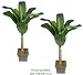 TWO 5.5' Artificial Banana Tropical Trees, with No Pot,