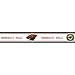 Minnesota Wild Wallborder - 5.5