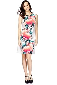 Cotton Rich Placement Floral A-Line Dress