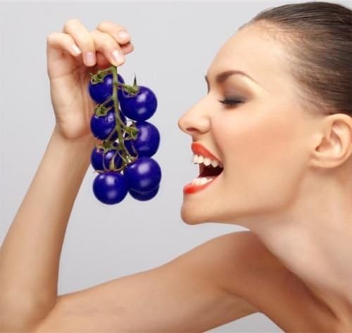 Hot Garden 20 Seeds Purple Cherry Tomato Organic Heirloom Fruit Vegetable Plants