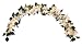 GKI Bethlehem Lighting 6-Foot 35-Light Weatherproof Lighted Poinsettia Garland, White