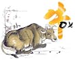 Zodiac T-shirt (White) - Ox (Year of the Ox: 1925, 1937, 1949, 1961, 1973, 1985, 1997.)