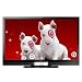 Vizio 42" 1080p LCD Full 120Hz HDTV (SV420XVT1A)