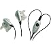 Jabra C120 Stereo Earbuds - 2.5mm