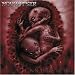 Rage from the Womb