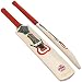 Sporting Goods : Hunts County Special Edition Pulse Cricket Bat