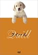 �N�C�[�� [DVD]