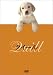 DVD�u�N�C�[���v