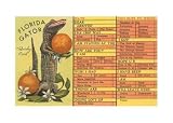 Florida Gator, Survey Card Places Art Poster Print, 17x11