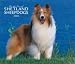   - For the Love of Shetland Sheepdogs 2008 Deluxe Wall Calendar