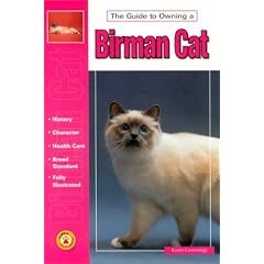 The Guide to Owning a Birman Cat